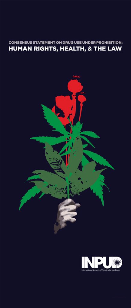 International Network of People who Use Drugs (@inpud) on Twitter photo <a href="/INPUD/">International Network of People who Use Drugs</a> Consensus Statement on Drug Use under #Prohibition: Human Rights, Health & the Law.
inpud.net/en/news/consen… <a href="/INPUD/">International Network of People who Use Drugs</a> Consensus Statement on Drug Use under #Prohibition: Human Rights, Health & the Law.
inpud.net/en/news/consen…