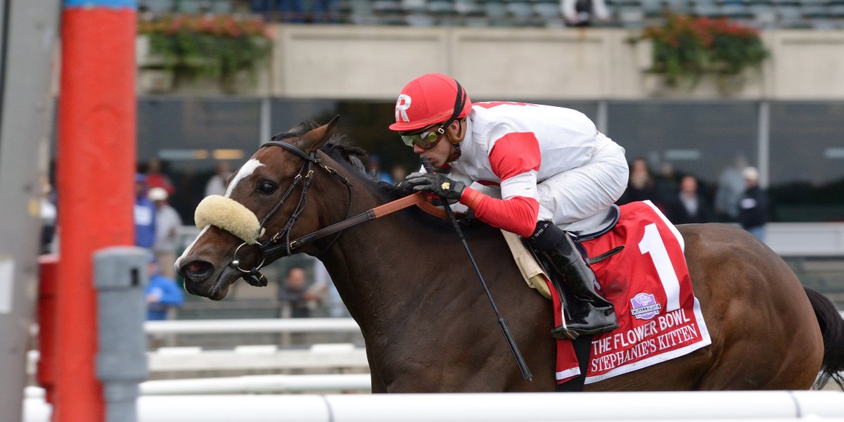 TheNYRA's tweet photo. What a showing by Stephanie's Kitten and @IradOrtizJr to win the @BreedersCup Filly &amp; Mare Turf! #BC15 https://t.co/7CPcqOaRLe