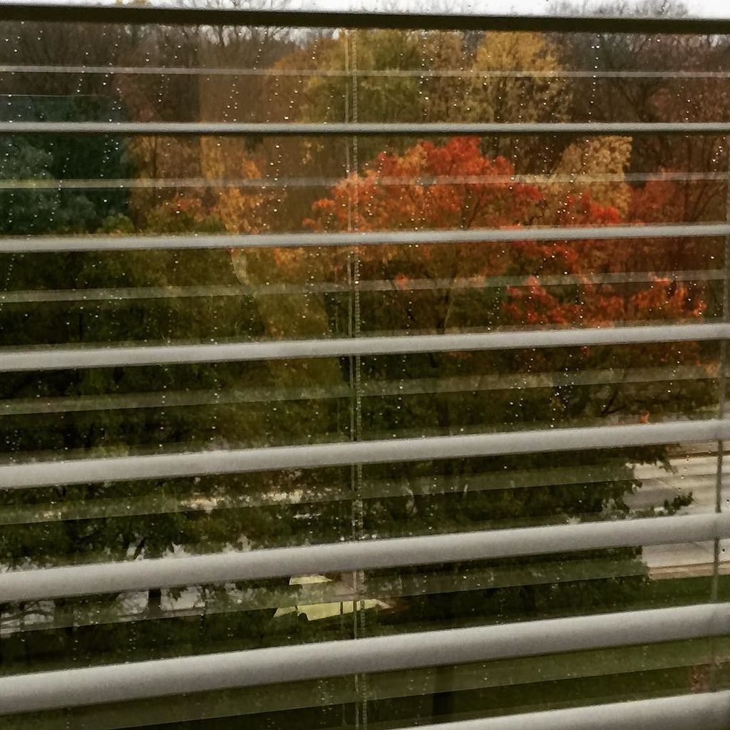 StagingWindyCit's tweet photo. The view from the Market Overdrive "green room" @ #am560theanswer #marketoverdrive #chicag… https://t.co/AL9sPjj6a2 https://t.co/7DZA1HQMzf