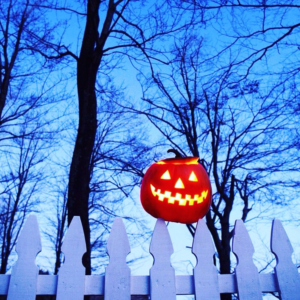 ThinkWISH's tweet photo. Hope everyone has a safe and festive Halloween! 🎃💚🌿 Make sure to eat lots of candy 🍫😋 https://t.co/o9EBB8FPvr
