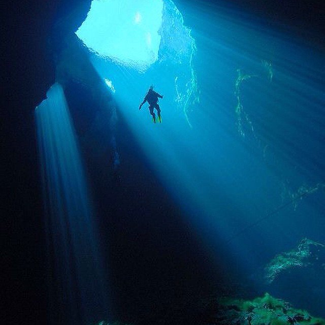 alienadv's tweet photo. Don't do #drugs.Go #scuba #diving instead! The most #healthy and #outworldly #experience you can get! #adventure https://t.co/yENCj60CVw