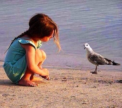 PardueSuzanne's tweet photo. The secret of genius is to carry
the spirit of the child into old
age...
- Aldous Huxley https://t.co/glOqkH4Xag