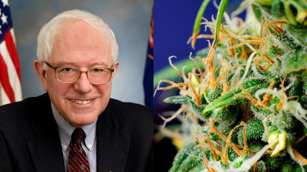 txherbivores's tweet photo. What Does Bernie Sander’s Proposal Mean? https://t.co/YIK88WYOs9 https://t.co/H3Ywgzi6Iv