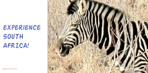 jackkudosgame's tweet photo. Experience #South #Africa @jackkudosgame @indiegogo https://t.co/p13CnDCkll #crowdfunding #travel #indiedev #games https://t.co/stN9EIjbh2