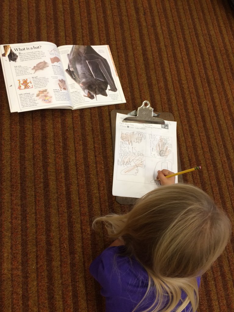 LewisRoom20's tweet photo. Bat week was a blast! Here we are working hard on our nonfiction writing. ✏️ https://t.co/LVXw75JyVn