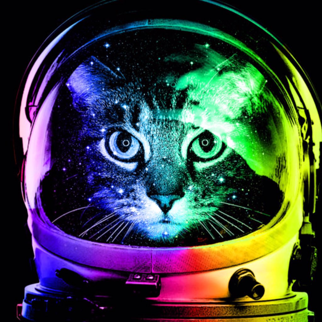 Космический кот