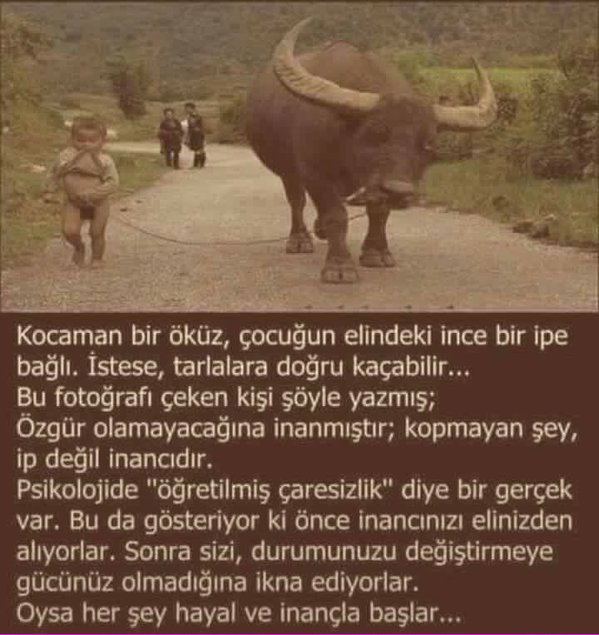 DemokrasiYalan OyKullanmakHaram