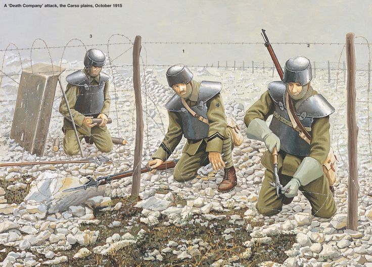 battle of the isonzo battle of the isonzo