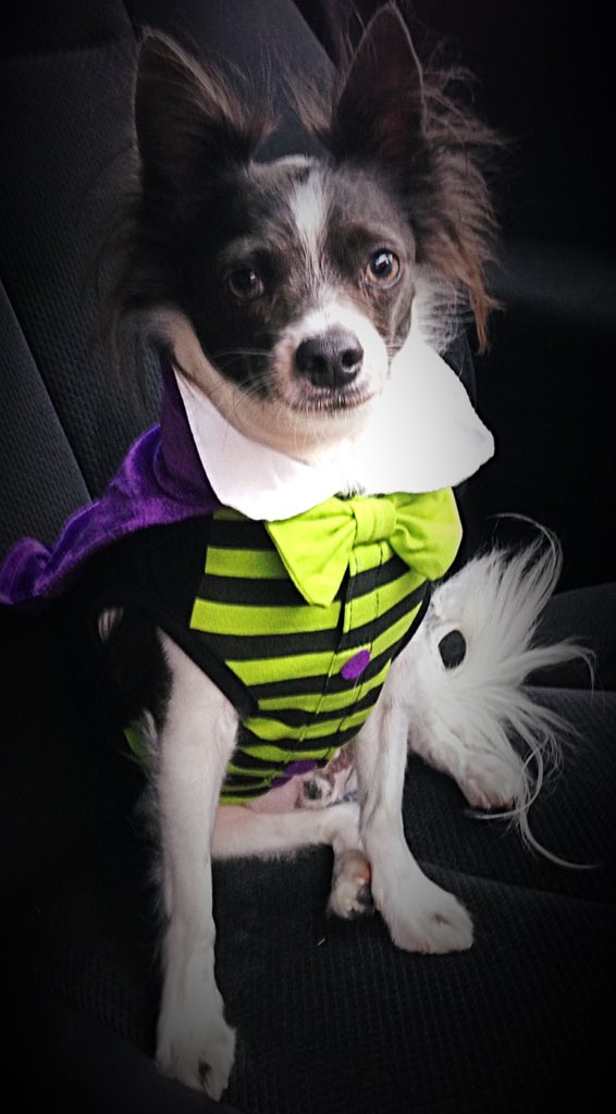 kellicross216's tweet photo. Happy Halloween 🎃 #halloween2015 https://t.co/ImBR9r89qC