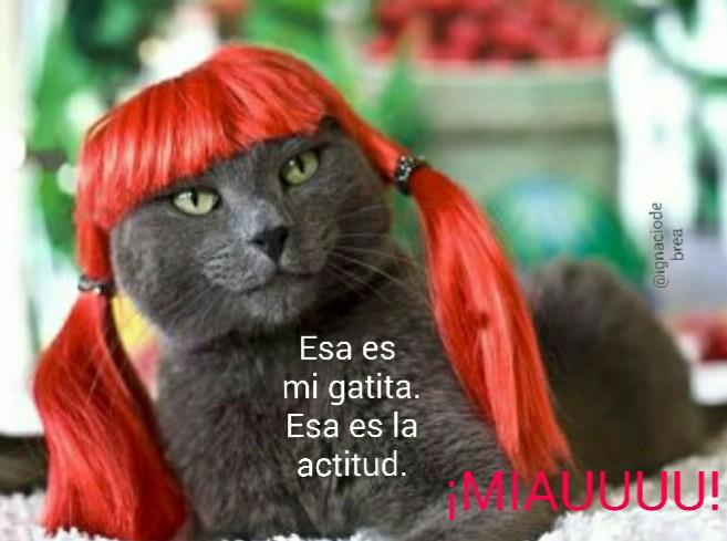 ignaciodebrea's tweet photo. Y es que no hay nada como un fiel compañer@.
#sonrio
#sonrie
#soyFeliz
#desentonando
#viviendoFeliz
#TeAdoro https://t.co/ylOa2a3R0V