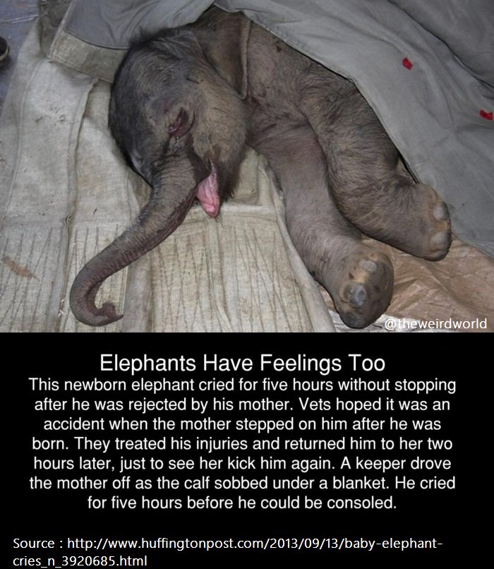 Shower Thoughts (@shwrthght) on Twitter photo 