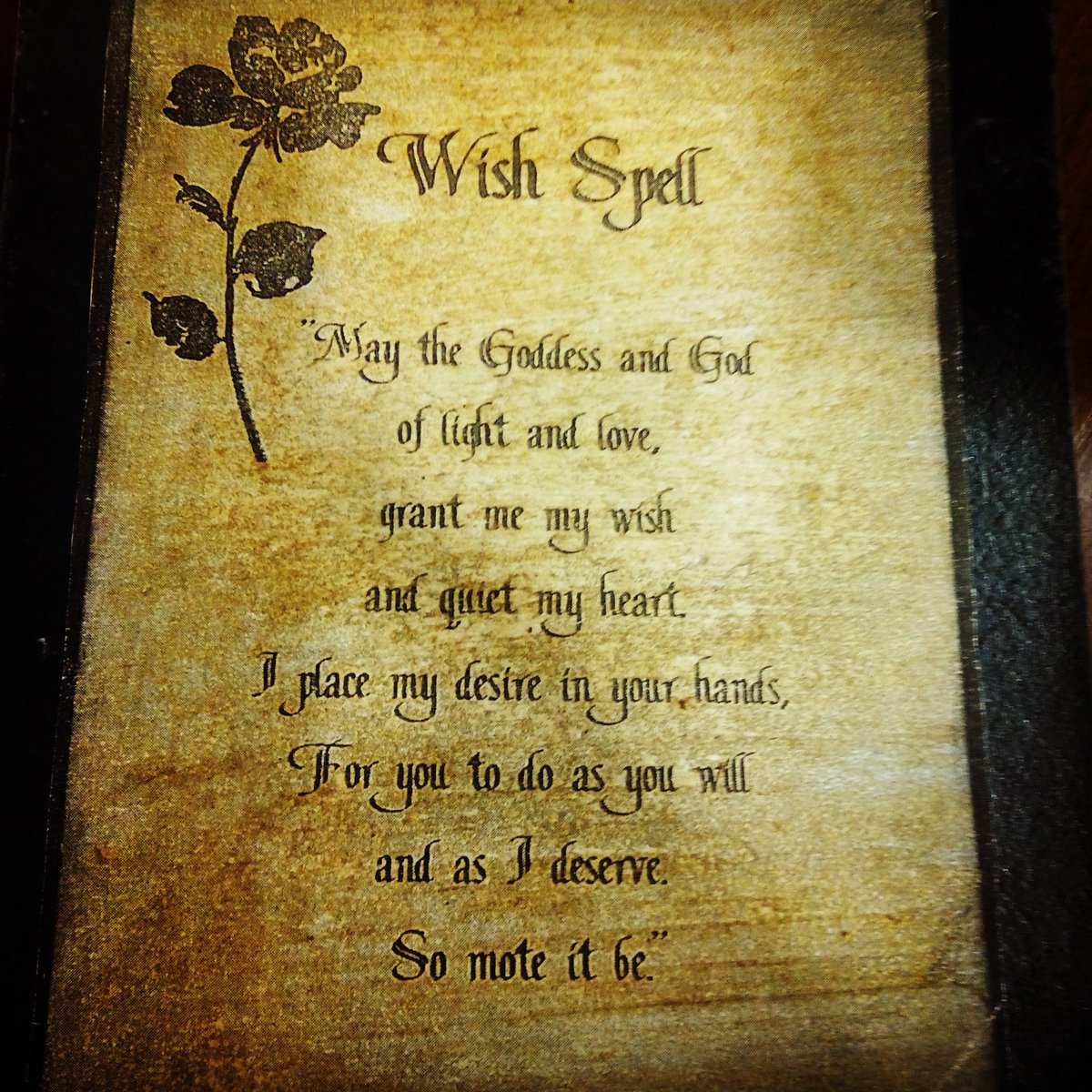 Sarah_Manzano's tweet photo. Pide un deseo.
#Halloween #wishspell #witches https://t.co/ezMvwoMRUP