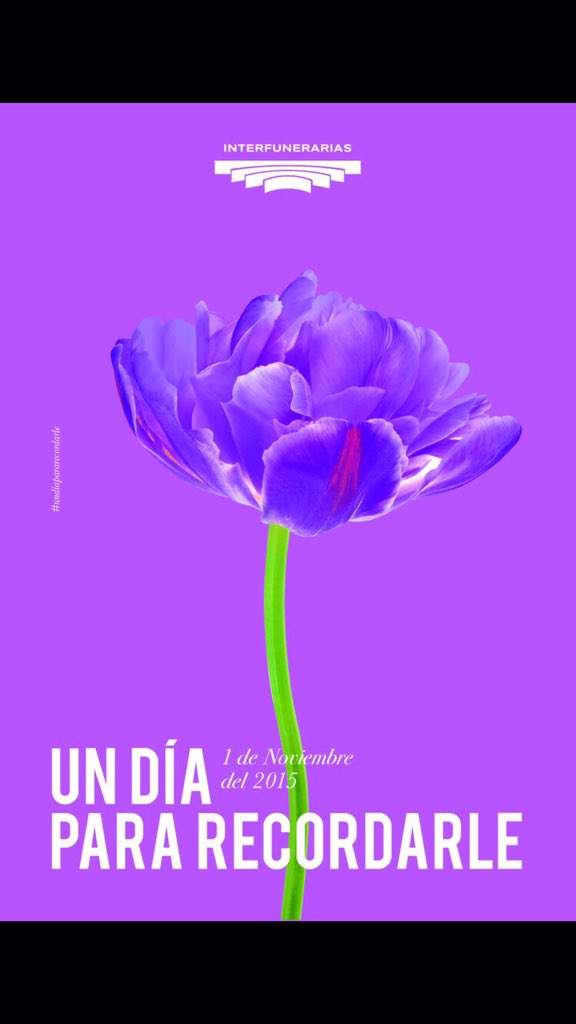 LauraElenaRadio's tweet photo. Retwitear Todo listo para mañana #Undíapararecordarle #Interfunerarias #DiaDeTodosLosSantos #LaHoraMagica642 https://t.co/kw9Beu0Fz5