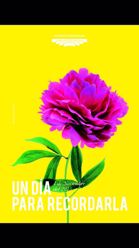 LauraElenaRadio's tweet photo. RT Todo listo pr mañana #Undíapararecordarle #Interfunerarias #DiaDeTodosLosSantos #LaHoraMagica642 @JuanfraEscudero https://t.co/vEPJpWeOZN
