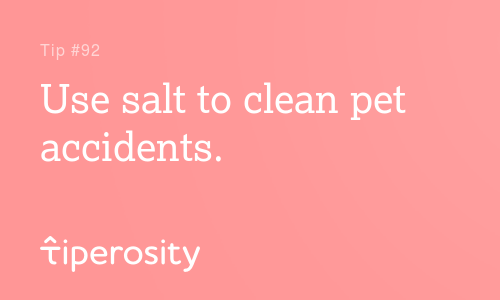 PetsTipero's tweet photo. Use salt to clean pet accidents. #stainremoval https://t.co/VOdP0AeRAq https://t.co/McYP74c6Kh