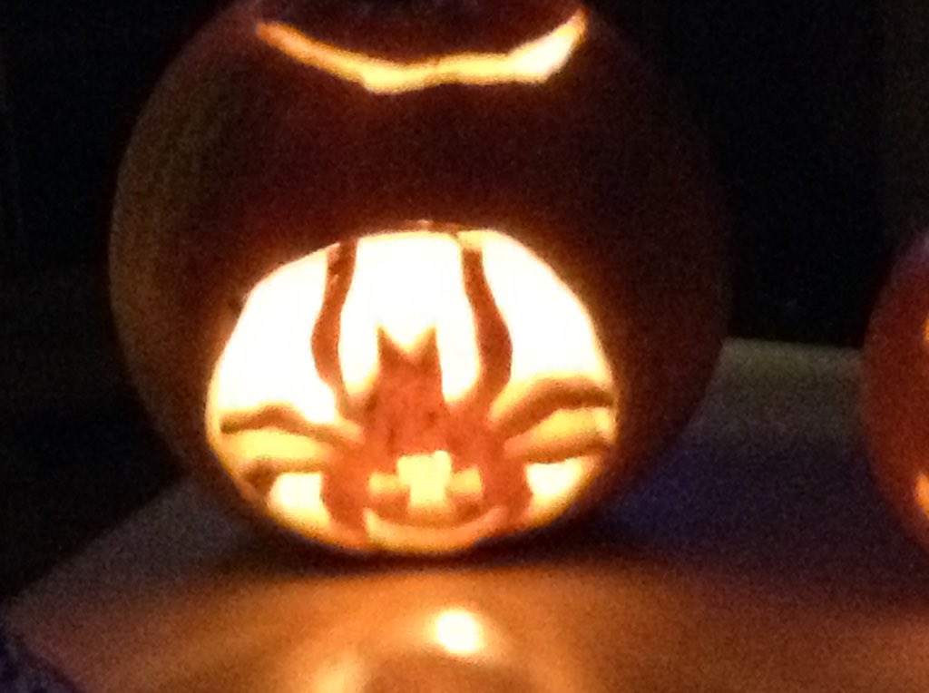 TelferRio's tweet photo. My pumpkins https://t.co/vLLW6KC56Y