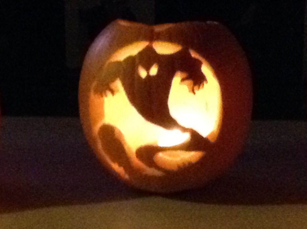 TelferRio's tweet photo. My pumpkins https://t.co/vLLW6KC56Y
