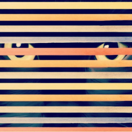 hello_tknotes's tweet image. Happy Halloween! Hope everyone has a #Spooktacular #Caturday! bit.ly/1PcwssM