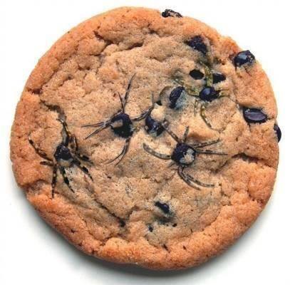 Ueberlingen770's tweet photo. Überlingen Seepromenade Lampen gesäubert, jetzt Halloween Spider Cookies, frisch aus dem Ofen... https://t.co/eaytZsKzMB