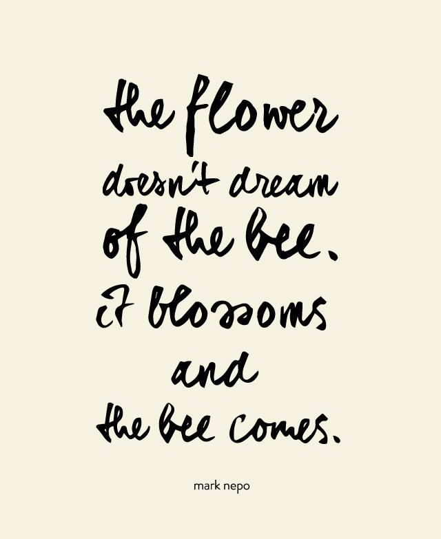 space2live's tweet photo. The flower doesn't dream of the bee. It blossoms and the bee comes. Go out and blossom. #doit #lovetricks https://t.co/NxL1xzTf42