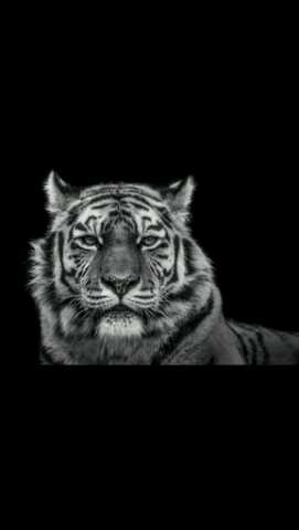 sphendaba22's tweet photo. Awuzwe nje ihhiii https://t.co/pFa4y3YBDf