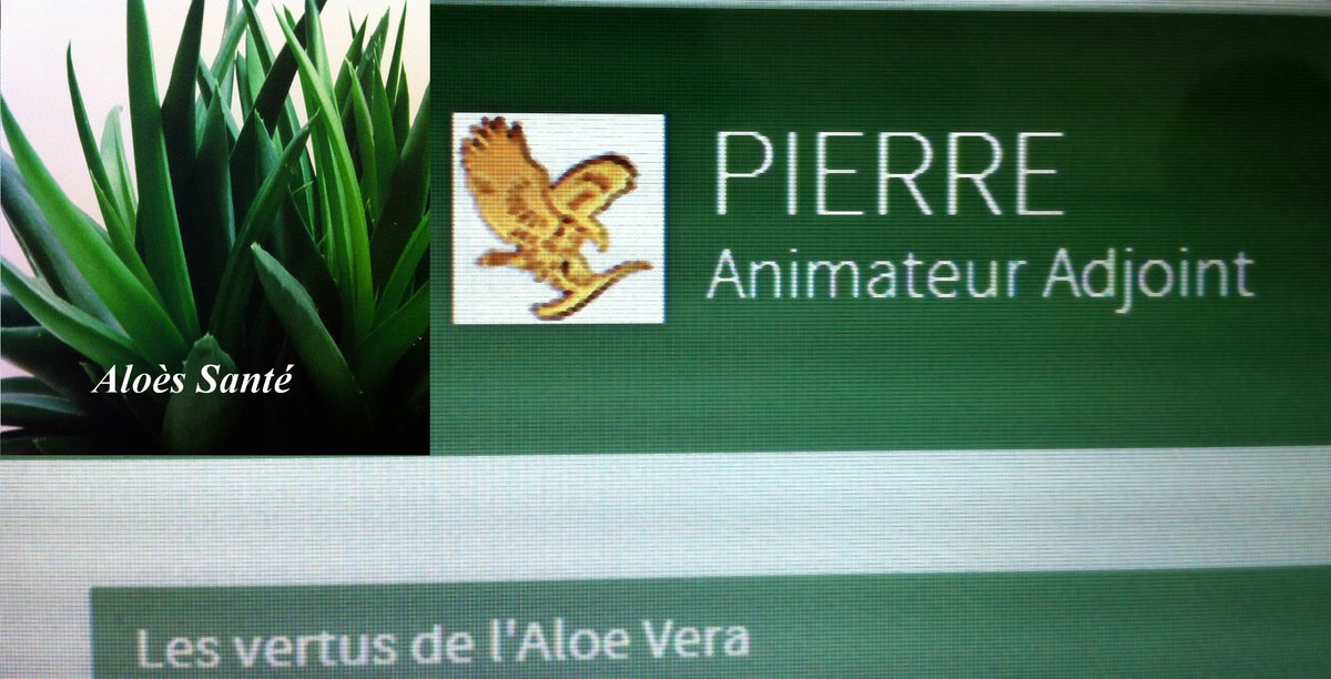 pierreveroneze's tweet photo. https://t.co/zAASDuzJQ6