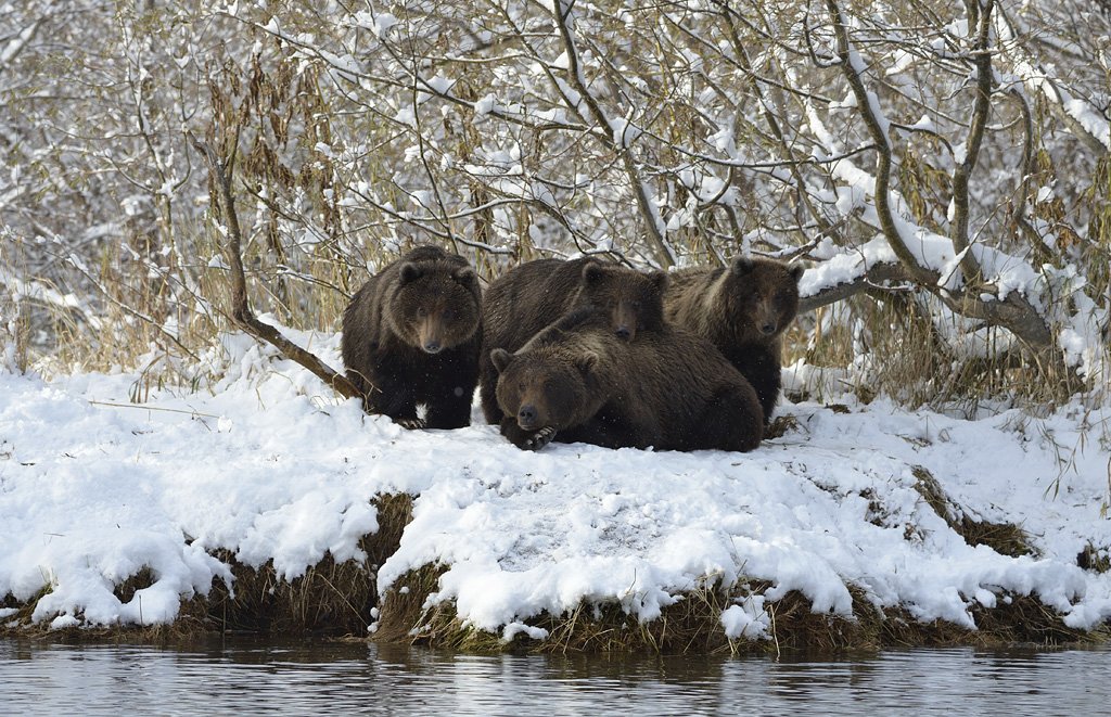 Петр Любарский tweet media