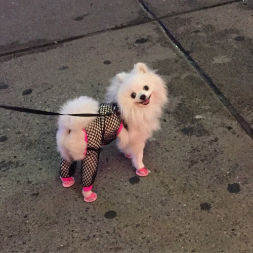 SouthernHomo's tweet photo. It's cold outside but I'm still lookin' like a thottie because a hoe never gets cold https://t.co/IS4m77Mke8