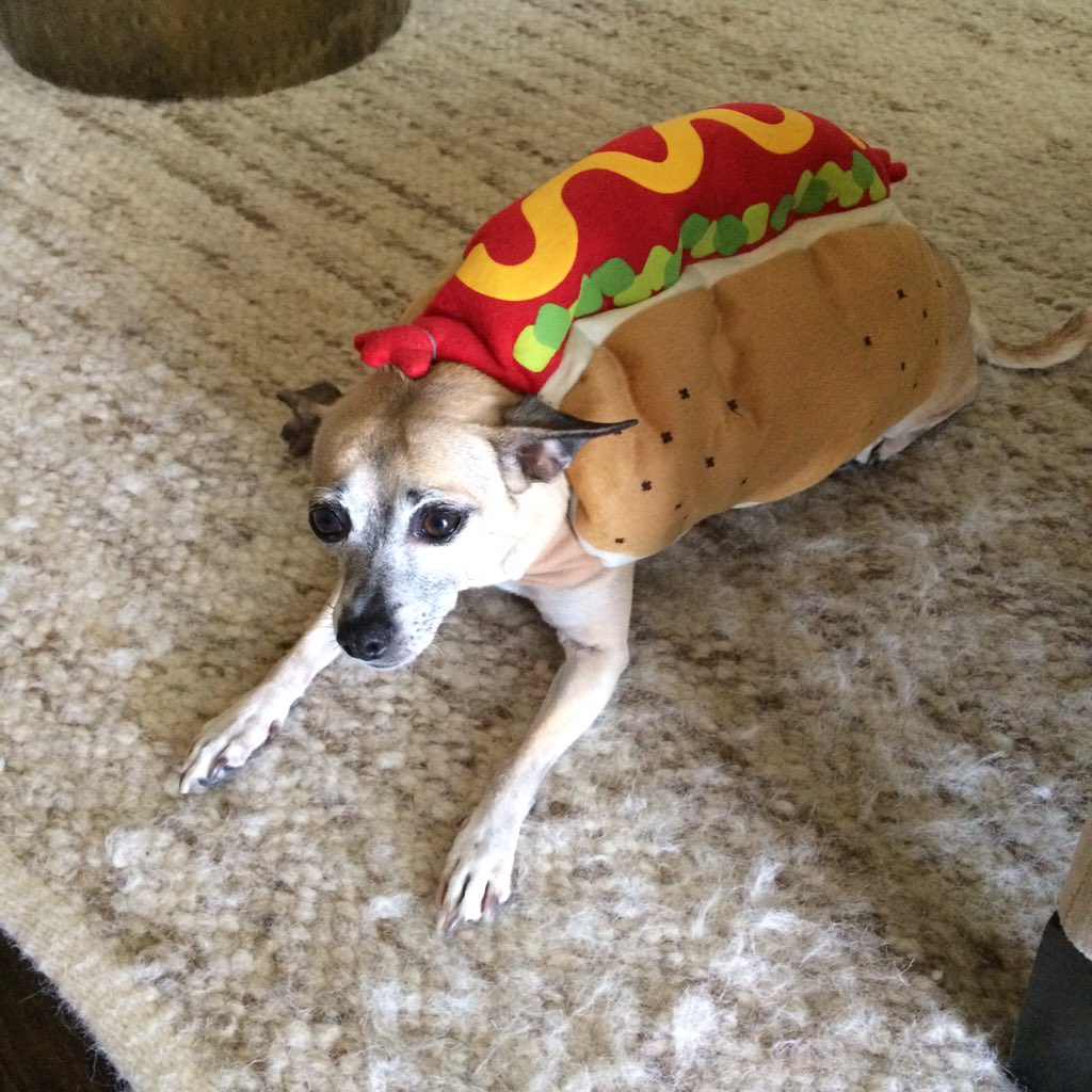 BellamyYoung's tweet photo. To answer your question @Bellamyy_vines ... 😁🙈😂👍😍❤️🎉 #PoorBean https://t.co/PhDVs5KJle