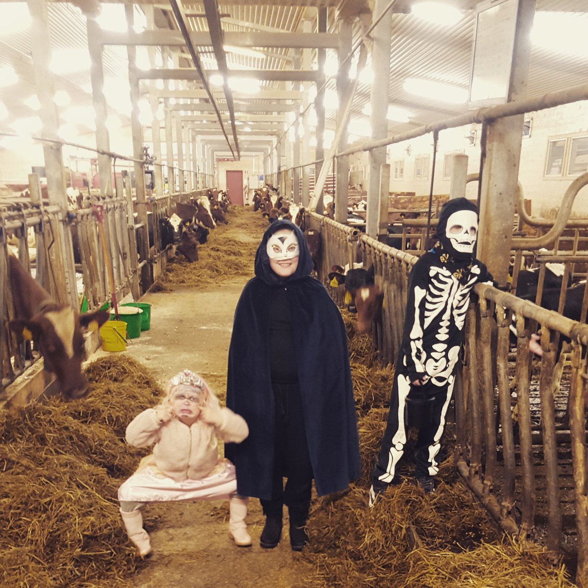 Tradisjonen med Halloween har spredt seg til norske fjøs.