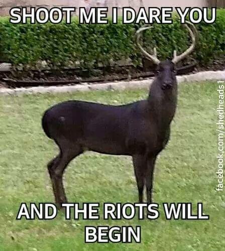 readyt0hunt's tweet photo. This is just too much. https://t.co/jnDZBSv030