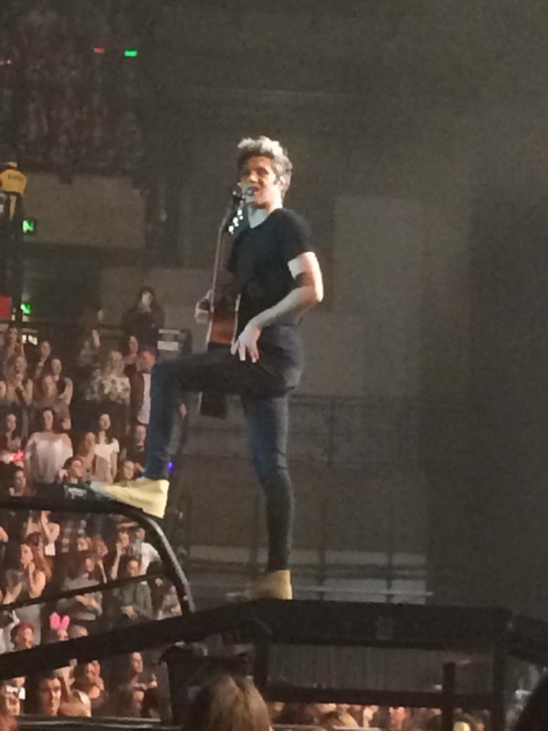 TeamDirectionBR's tweet photo. Niall nessa noite #OTRASheffield3 https://t.co/RqLQcBK2Tz