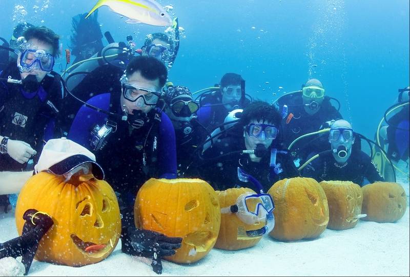 OttawaPools's tweet photo. Happy Halloween https://t.co/rorQaP4WVf