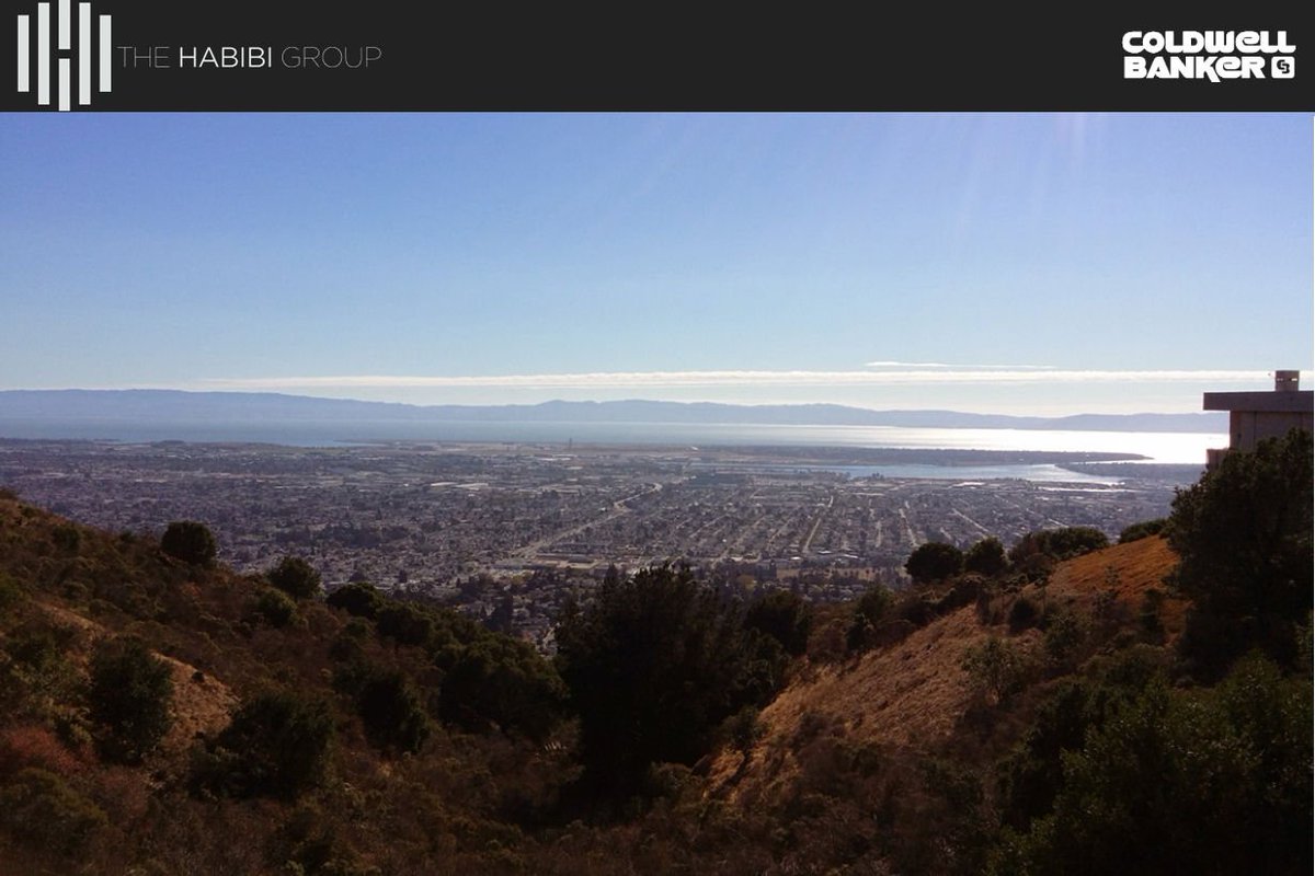 ReallyThere3D's tweet photo. Can't make @RohHabibi #OpenHouse? #3D tour at https://t.co/AtgEmfQwWJ #ReallyThere3D #THG https://t.co/0HdzJTZZZJ https://t.co/VTskKXTGfX