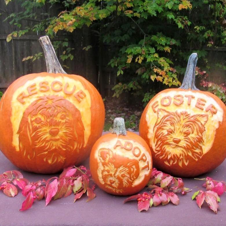 Happy Halloween!