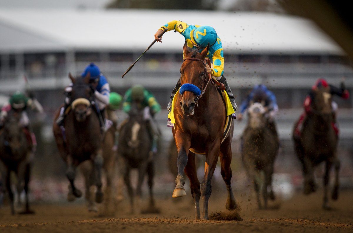 BreedersCup's tweet photo. HISTORY MADE. #AmericanPharoah has won the #GrandSlam #BC15 Classic Champion. https://t.co/GDa6hqD0kA