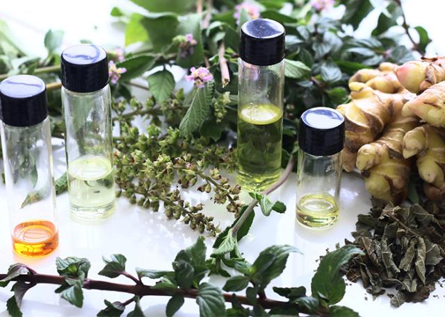 ForumAquaflux's tweet photo. Plantas medicinais melhoram saúde dos peixes em piscicultura

https://t.co/u8qWizLcMe https://t.co/RBsplrsnqk