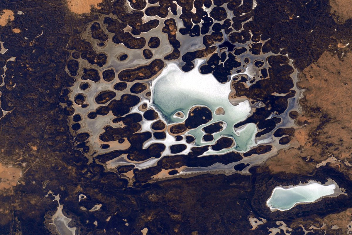 StationCDRKelly's tweet photo. #Halloween #EarthArt Some places of our world look other worldly. Boo! #YearInSpace https://t.co/CwT86NtR5Y