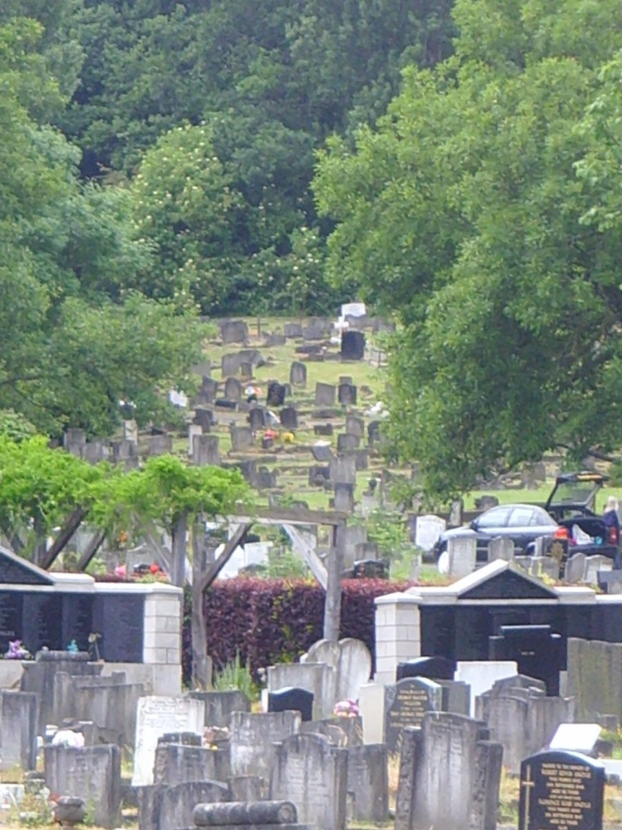 Camberwell Cemeteries tweet media