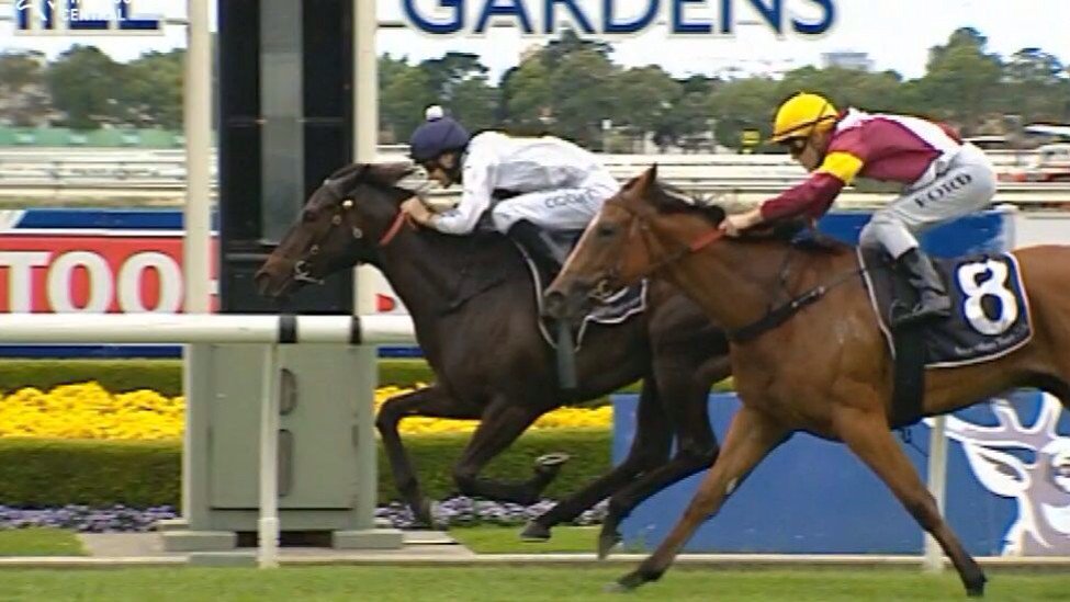 Just checking. It is Sunday &amp; this did happen <a href="/rosehillgardens/">Rosehill Gardens</a> yesterday. <a href="/Darby_Racing/">Darby Racing</a> #wasitadream #unbelievable