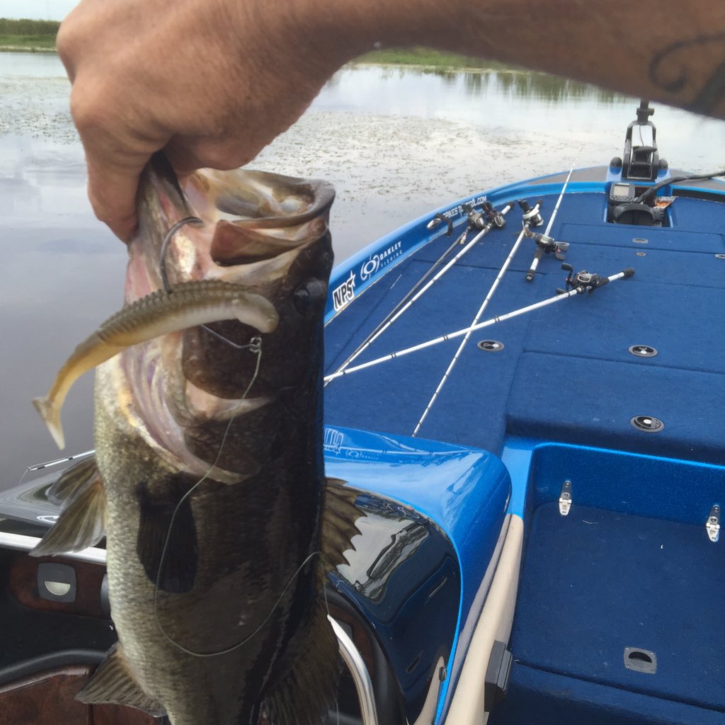 BassThugTrail's tweet photo. Little bit of @LiquidMayhem_ on my #ReactionInnovation and it was fish on🎣🎣🎣 https://t.co/e8rR8MPyaF