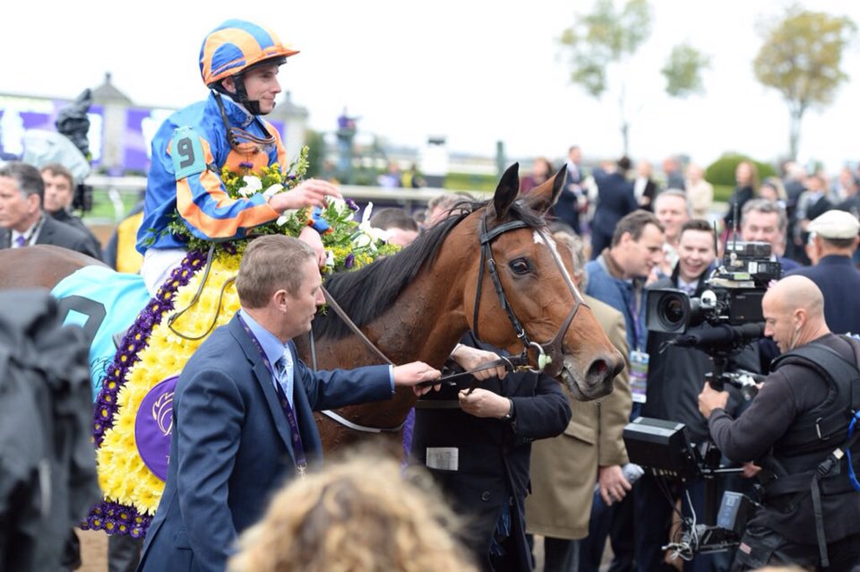 njboiler's tweet image. Found wins #BCTurf (2414m G1) for @coolmorestud's Galileo (3yo 2423m G1w). #BC15 pic via @BH_AEberhardt