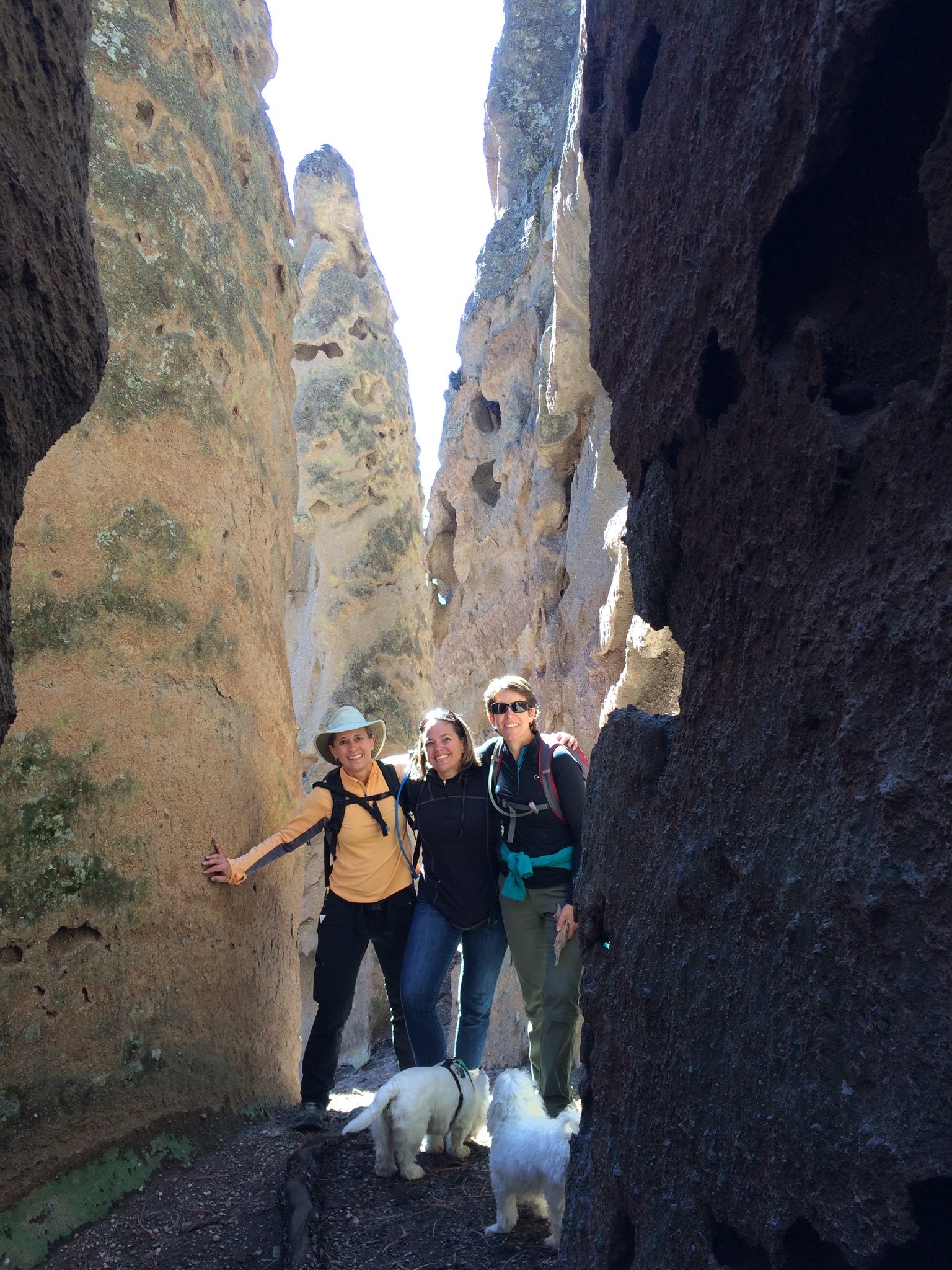 Anna Brown on X: Halloween exploring at Paliza Canyon Goblin Colony in  Jemez nm t.coCUxS3y4oX6  X