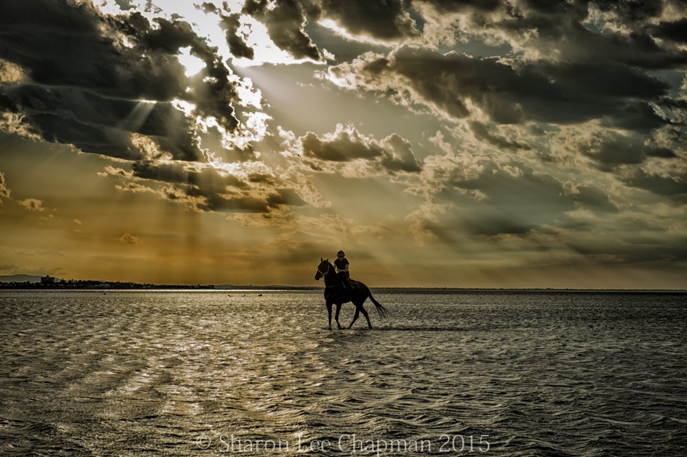 Fancy a runner in the Melbourne Cup. Join <a href="/cupclub/">The Cup Club</a> now $50pm for 12 months and share the dream through @G1X_RACING