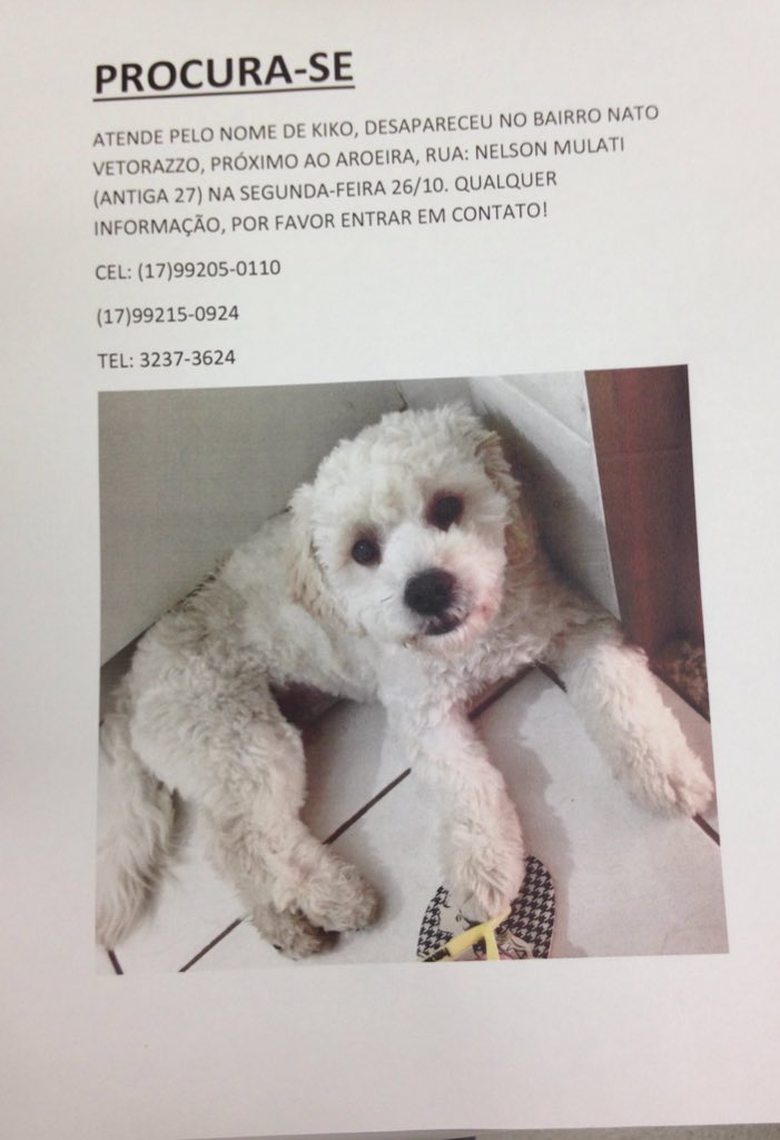 marcelaleiite's tweet photo. São José do Rio Preto 🙏🙏😭😭 https://t.co/kLalnKb5lq