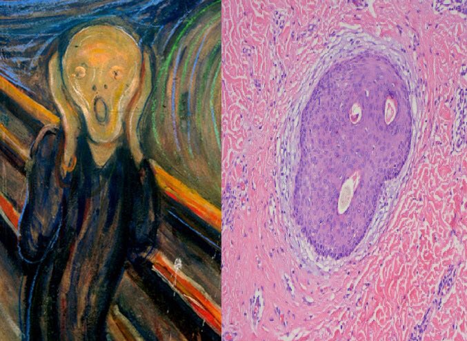 Jennifer Kaley tweet media