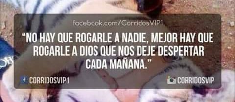 AlejanndRo_17's tweet photo. #SoloaDios ✌ https://t.co/98kL17eTMB
