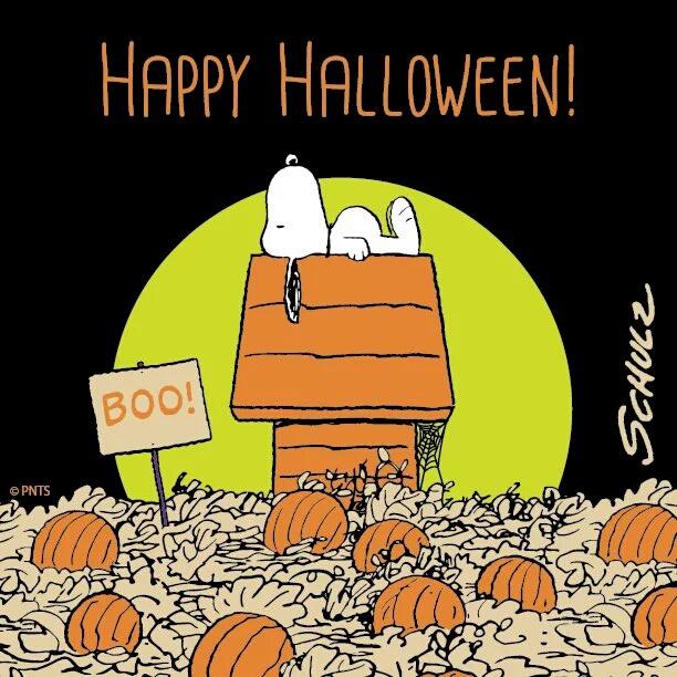 dbstar25's tweet photo. @MightyFine89 @CNilar @Living_w_Cancer @I_We_Gaia @jack2cdr43 @SHasani61 @AnnaCanavan @bgaedtke1027 @CandaceCrow https://t.co/3sWGWMkfPP