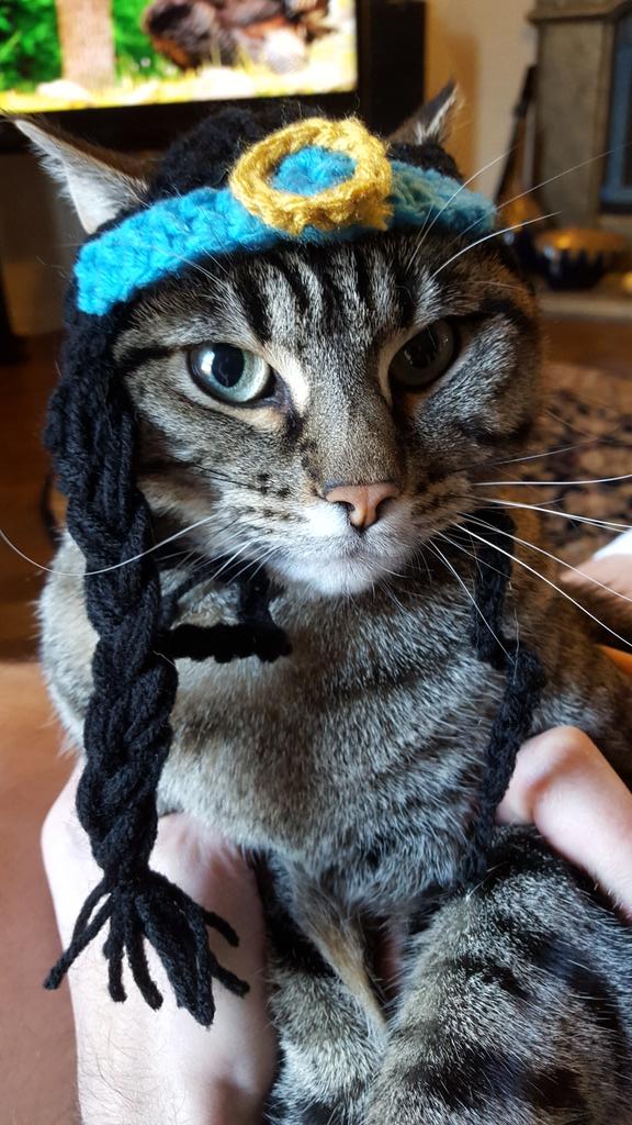 LAMitchellMath's tweet photo. Happy Halloween! #catsinhats #MFPets @mental_floss https://t.co/Bn7e6tlO2M