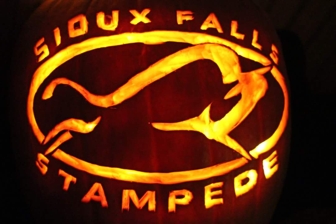 Lucas_WildFan's tweet photo. Look at what my wife carved! @LaceyLu87 @sfstampede @S_Lekkas @dakota_case @T_Vanek26 @mnwild @NHL https://t.co/eCY0NzFxsF